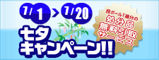 7月のキャンペーン