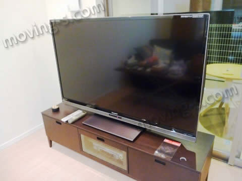 52インチ薄型テレビ。