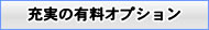 充実の有料オプション